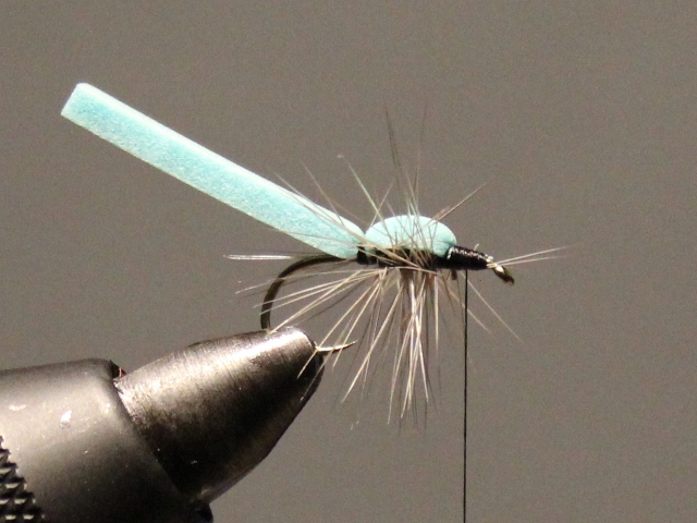Adult Damsel