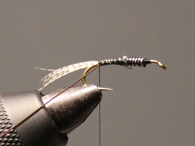 American March Brown Nymph