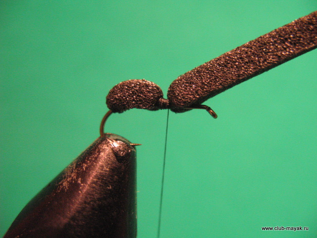 сухая мушка муравей Ant