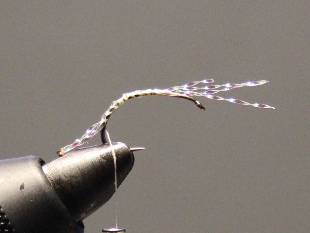 Anything Caddis 