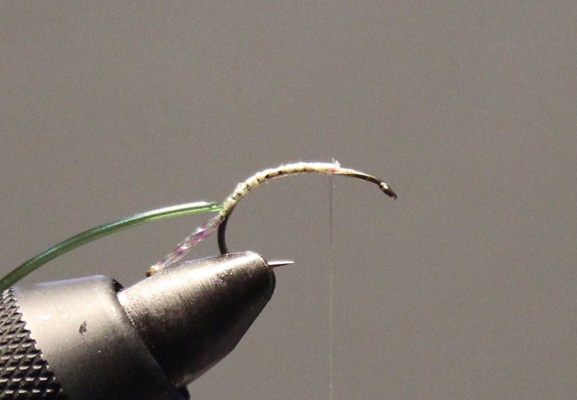 Anything Caddis 