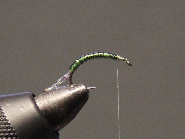 Anything Caddis 