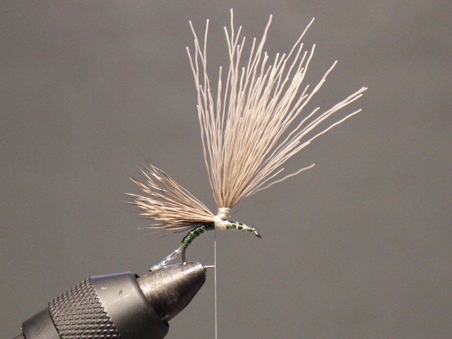 Anything Caddis 