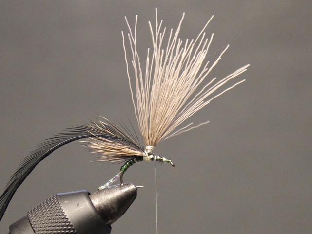 Anything Caddis 