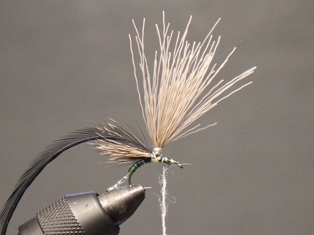 Anything Caddis 