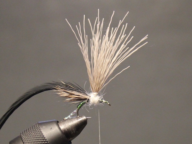 Anything Caddis 