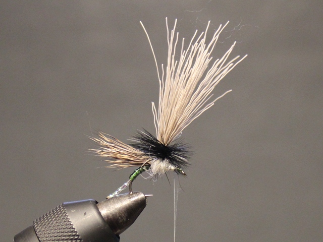 Anything Caddis 
