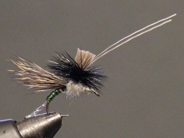 Anything Caddis 
