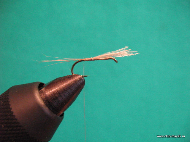 Нимфа Ascension Flymph