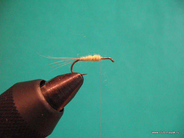 Нимфа Ascension Flymph