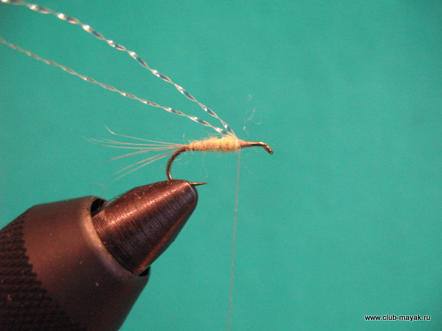 Нимфа Ascension Flymph