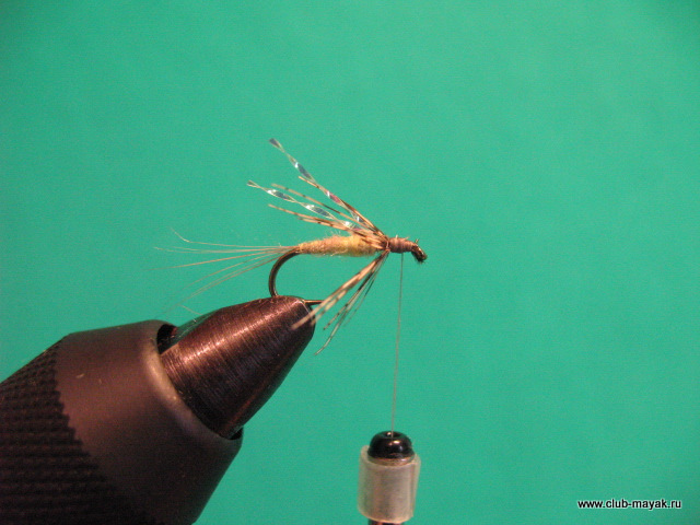 Нимфа Ascension Flymph