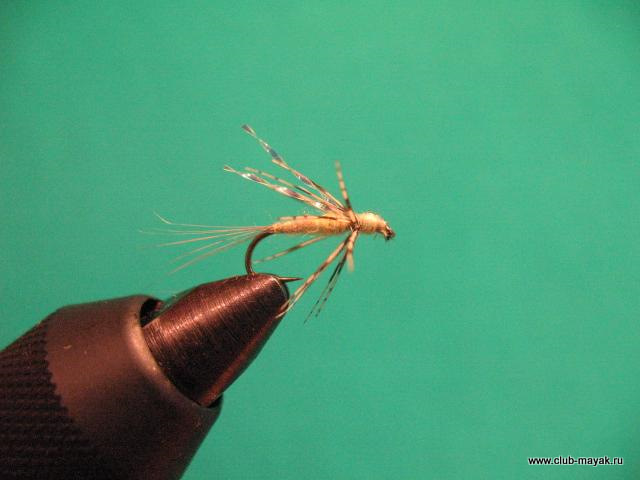 Нимфа Ascension Flymph