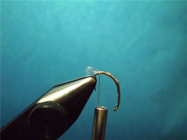 BWO TWISTED HACKLE EMERGER