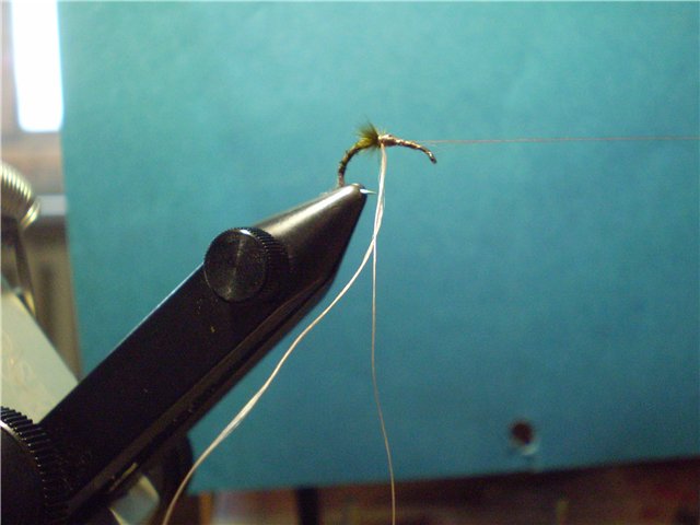 BWO TWISTED HACKLE EMERGER