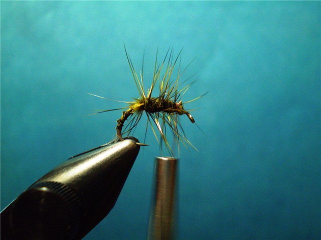 BWO TWISTED HACKLE EMERGER