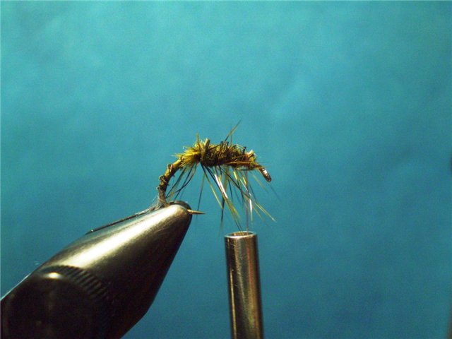 BWO TWISTED HACKLE EMERGER