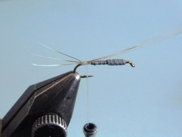 Baetis Nymph (O.Edwards)