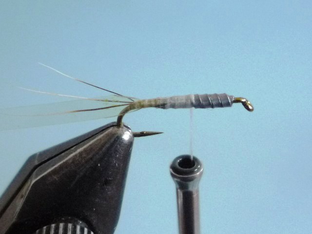 Baetis Nymph (O.Edwards)