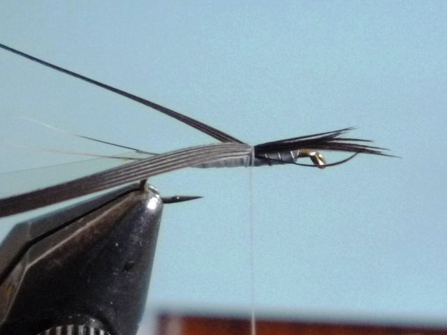 Baetis Nymph (O.Edwards)