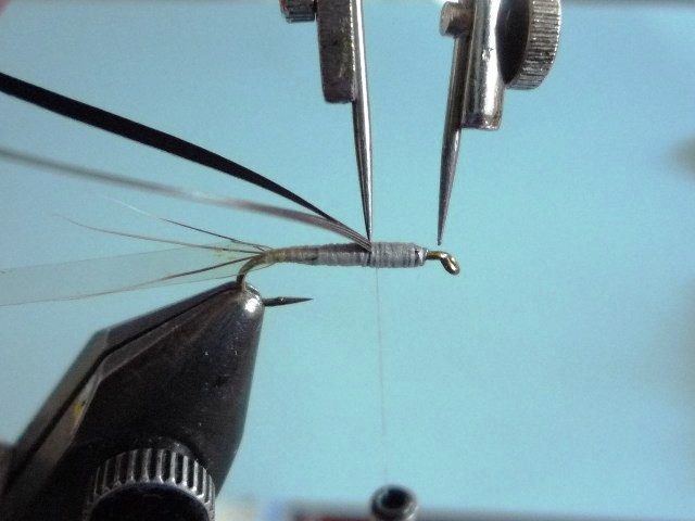 Baetis Nymph (O.Edwards)