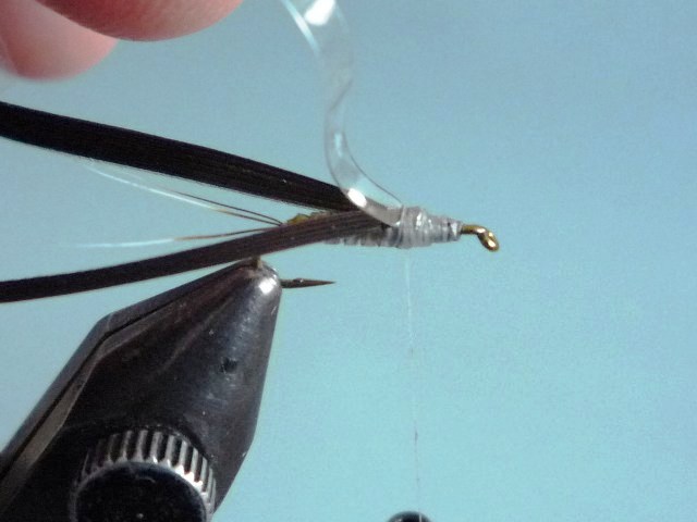 Baetis Nymph (O.Edwards)