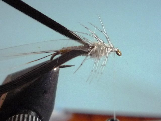 Baetis Nymph (O.Edwards)