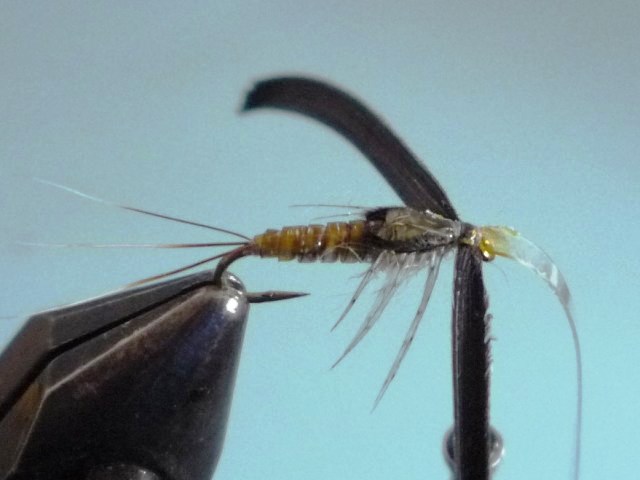 Baetis Nymph (O.Edwards)
