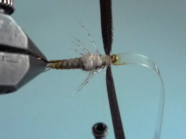 Baetis Nymph (O.Edwards)