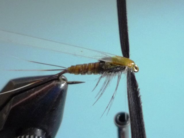 Baetis Nymph (O.Edwards)