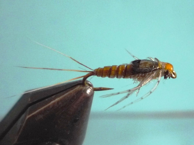 Baetis Nymph (O.Edwards)