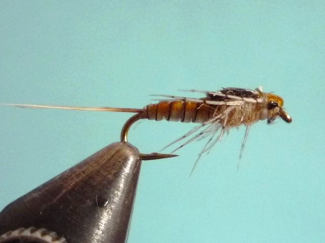 Baetis Nymph (O.Edwards)