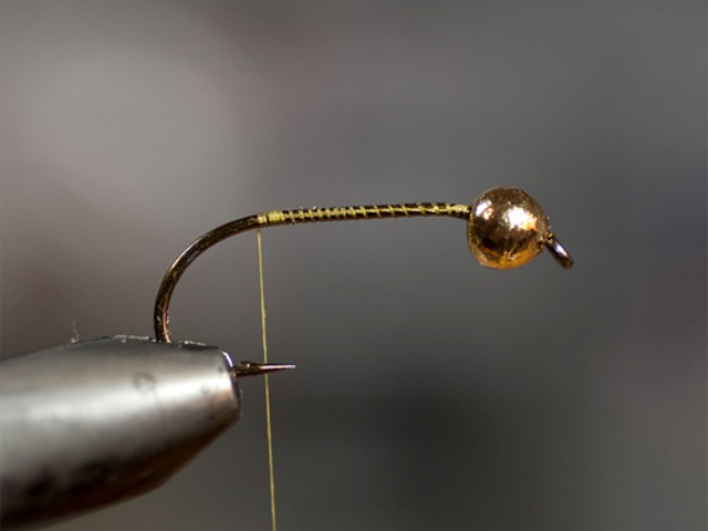 Big StoneFly