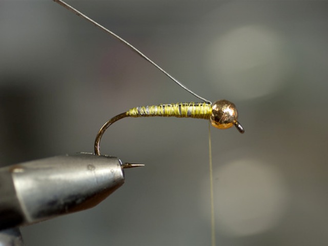 Big StoneFly