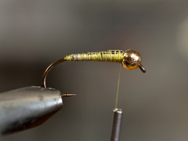 Big StoneFly