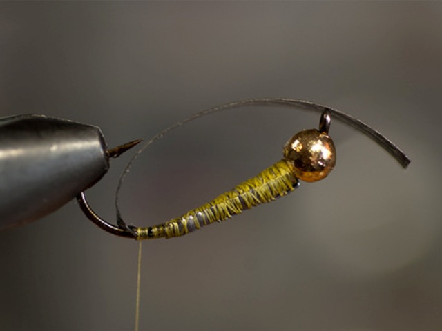 Big StoneFly
