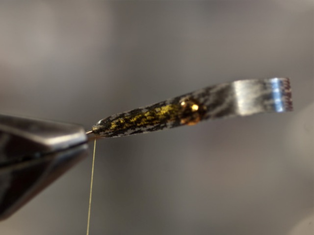 Big StoneFly