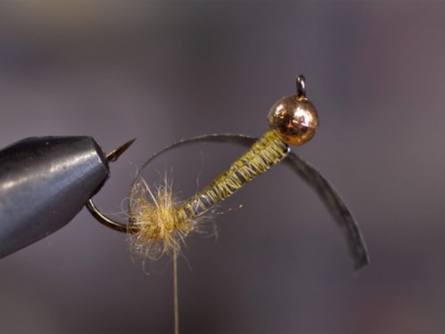 Big StoneFly