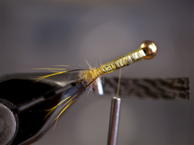 Big StoneFly