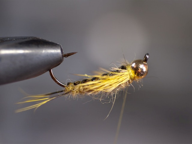 Big StoneFly
