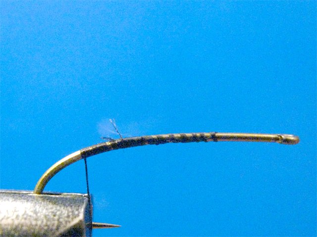 Biot CDC LW Emerger 