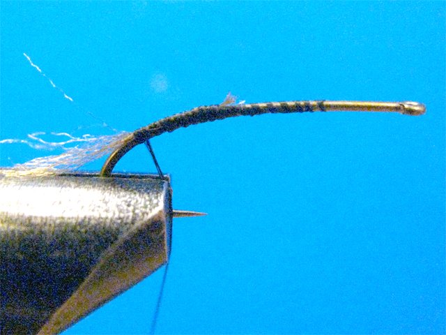 Biot CDC LW Emerger 