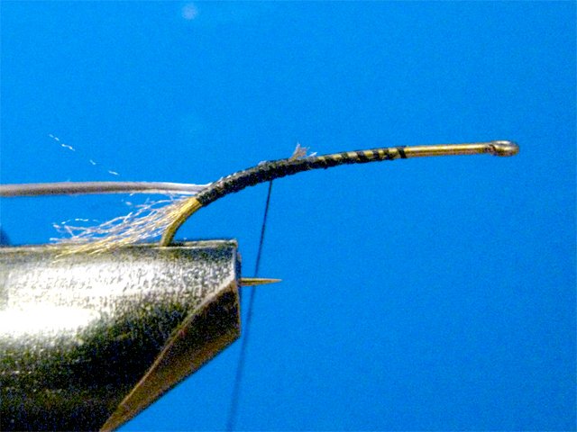 Biot CDC LW Emerger 