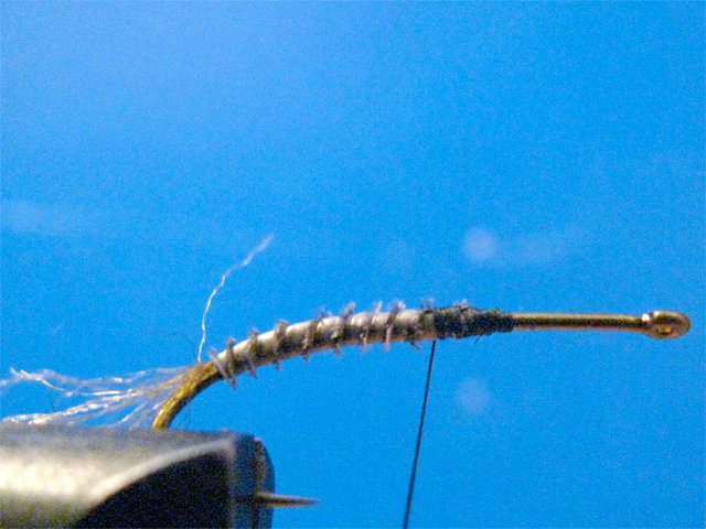 Biot CDC LW Emerger 
