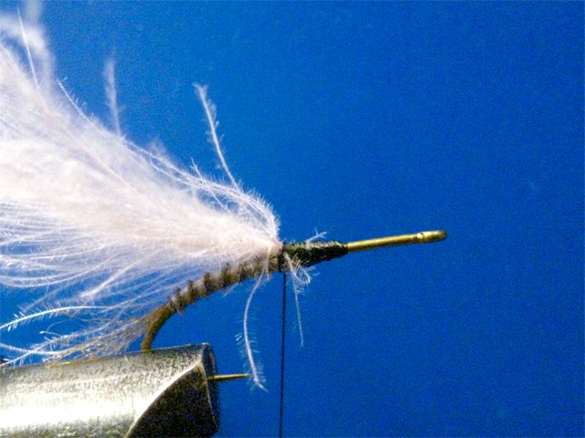 Biot CDC LW Emerger 