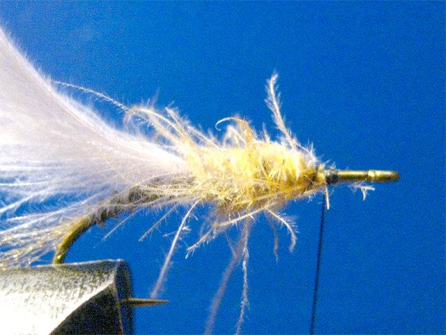 Biot CDC LW Emerger 