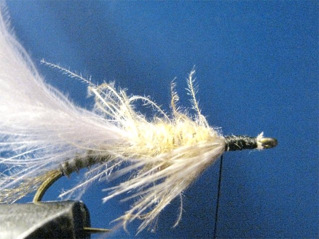 Biot CDC LW Emerger 