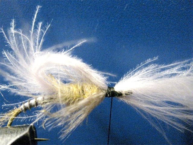 Biot CDC LW Emerger 