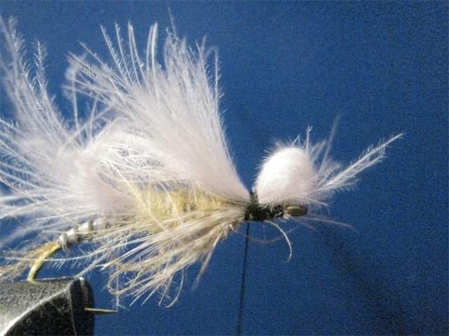 Biot CDC LW Emerger 