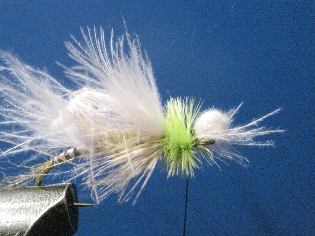 Biot CDC LW Emerger 